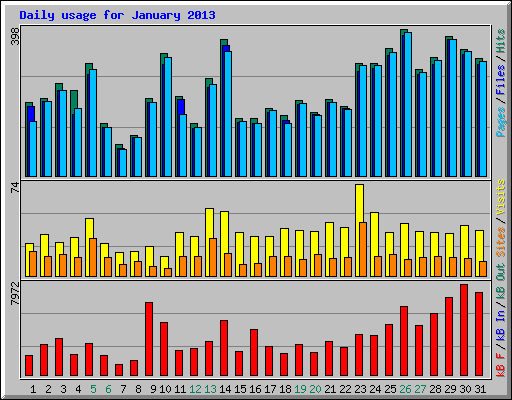 Daily usage for January 2013