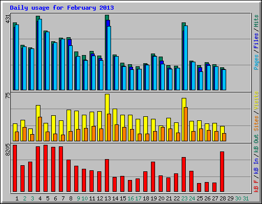 Daily usage for February 2013