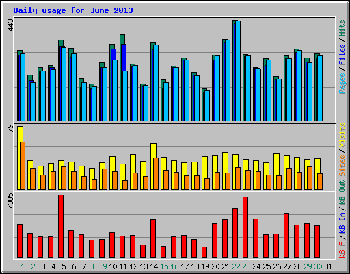 Daily usage for June 2013