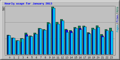 Hourly usage for January 2013